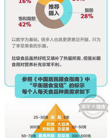 垃圾食品的正確打開方式 信息技術咨詢服務的全新應用